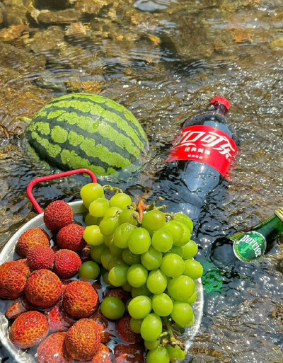 夏日背景图║户外露营