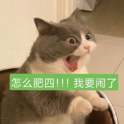 表情包
