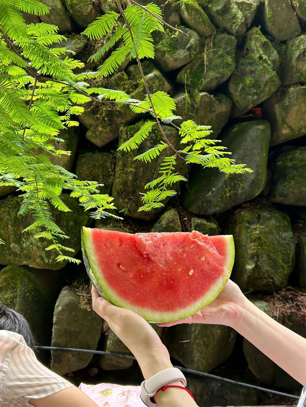 夏日背景图║户外露营