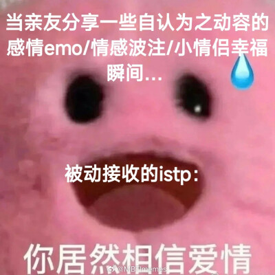 istp我本人：