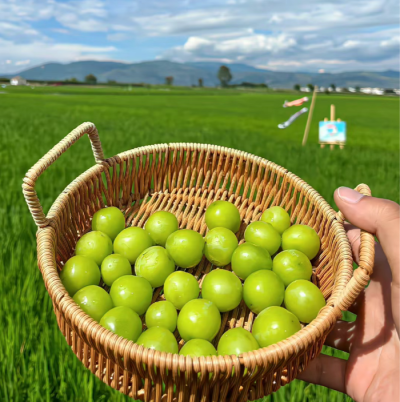 夏日背景图