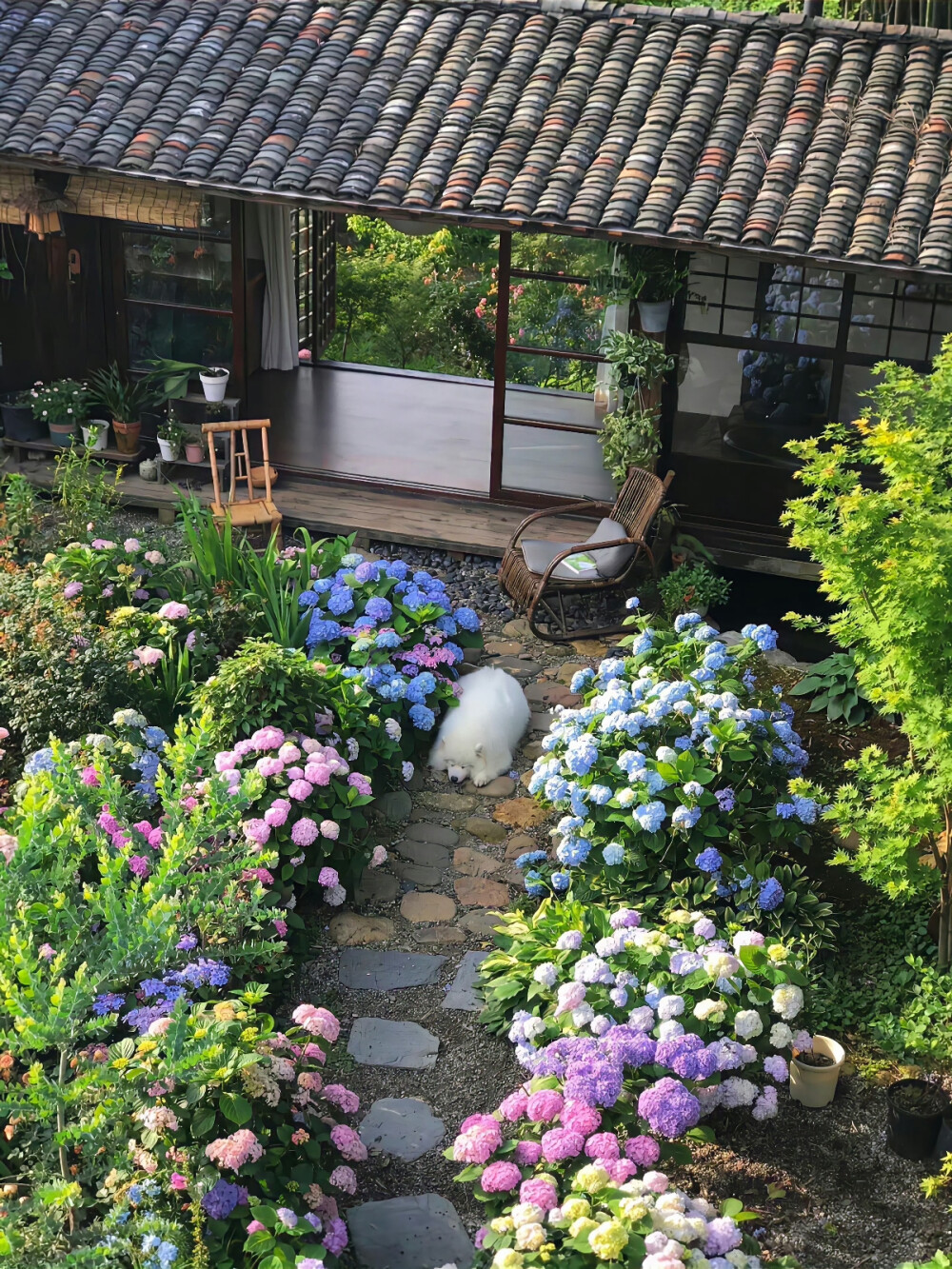 田园风 乡野生活背景图