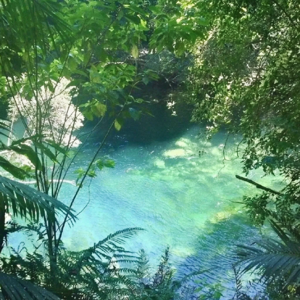 春风氛围感朋友圈背景图