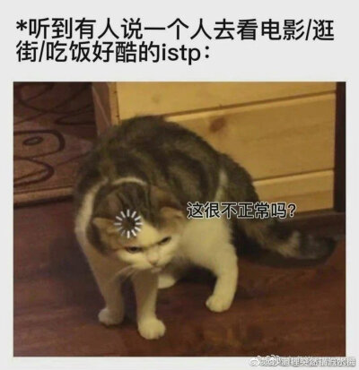 istp我本人：