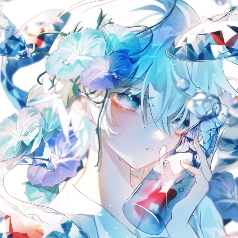 头像赞评论更多