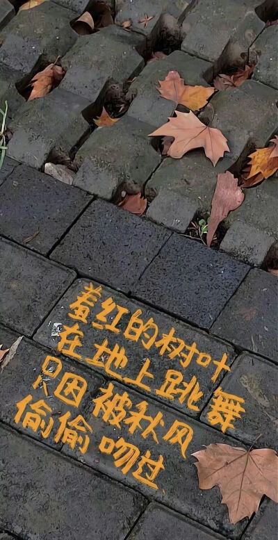 手机生活碎片壁纸