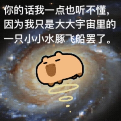 卡皮巴拉表情包