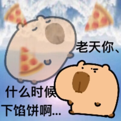 卡皮巴拉表情包