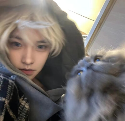 你的承诺 永远的欺骗./高级感男头