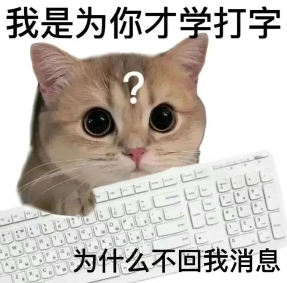 猫猫表情包