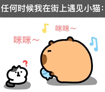 卡皮巴拉表情包