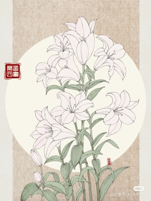 我的