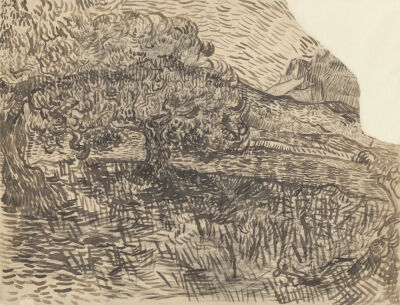 Olive Trees with the Alpilles in the Background,June 1889,chalk, brush and ink, on paper,49.9x65.1cm