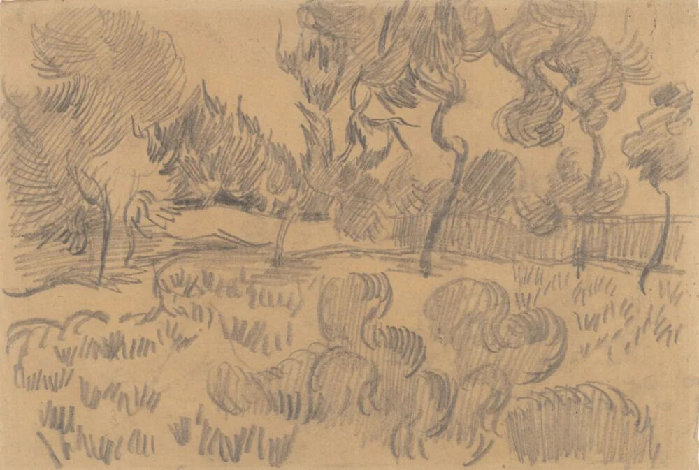 (Pine) Trees and Wall in the Garden of the Asylum,October 1889,pencil on paper,21.5x30.2cm