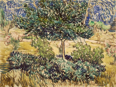 Tree and Bushes in the Garden of the Asylum,May-June 1889,chalk, brush and oil paint and ink, on paper,46.9x61.9cm