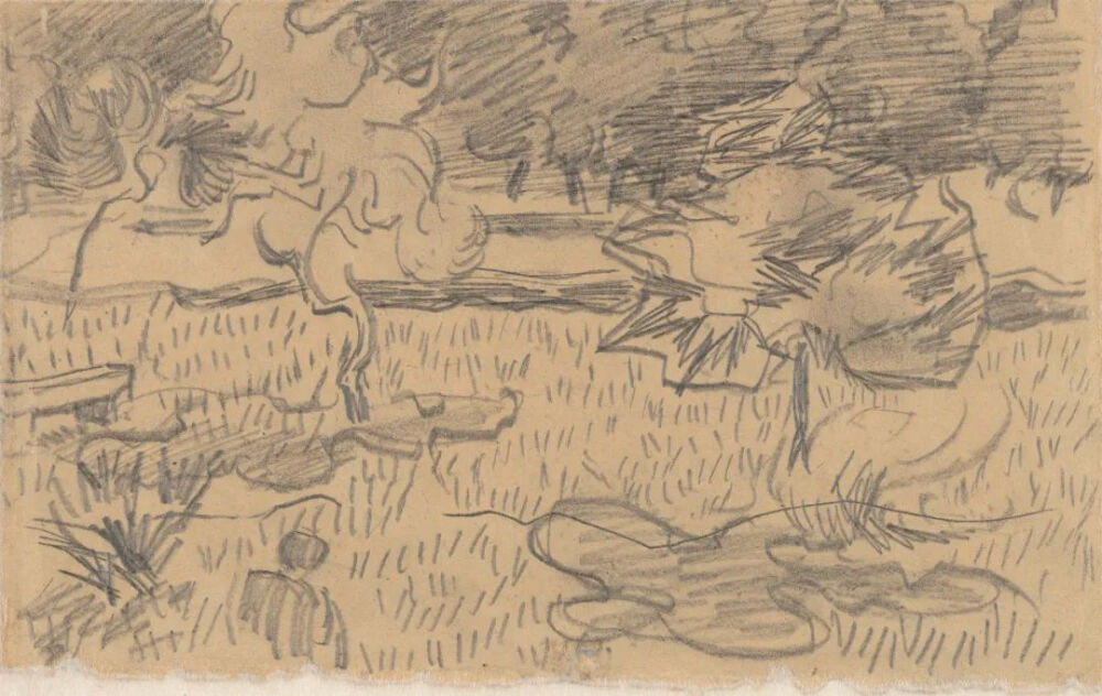 Trees in the Garden of the Asylum,October 1889,pencil on paper,18.5x29.2cm
