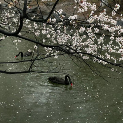 暗调高级感背景图