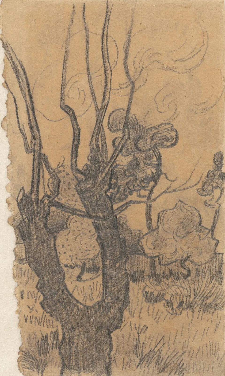 Tree in the Garden of the Asylum,October 1889,pencil on paper,29.9x17.5cm