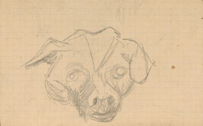 Head of a Dog,May-July 1890,pencil on paper,13.4x8.5cm