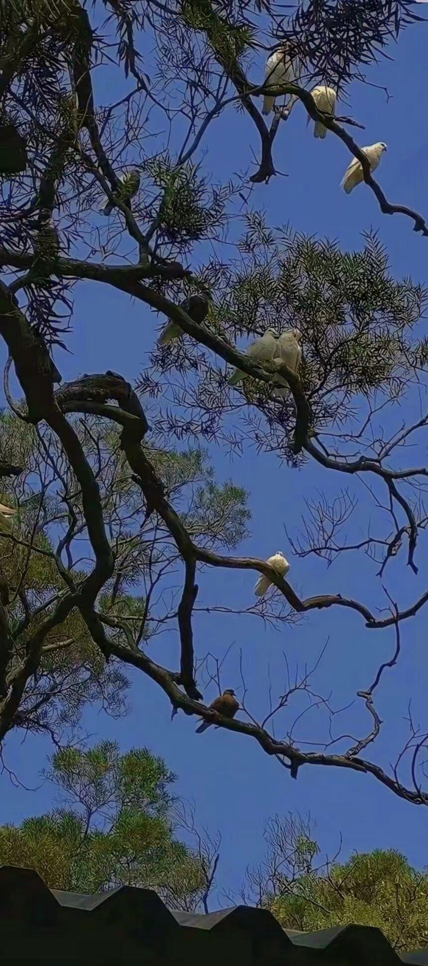 世界上有不绝的风景，我在人间贩卖好风景