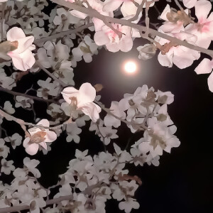 *刘耀文是心中的那一束光，那束照亮我的光。

-刘耀文套图 背景图