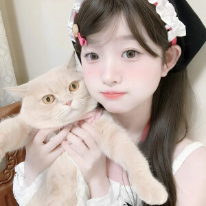 ♡̶₊˚༝恋爱热线