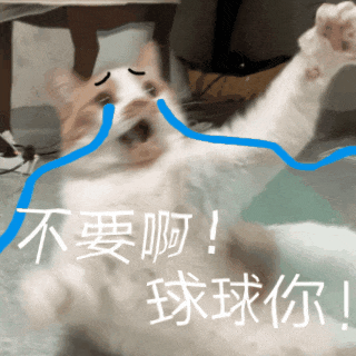 沙雕猫猫搞笑动图 表情包
