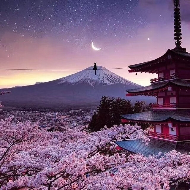 日本