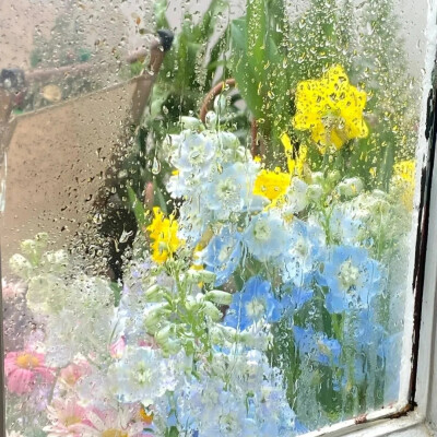 鲜花