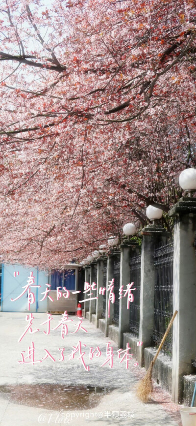 文字壁纸/
cr.半颗荔枝i