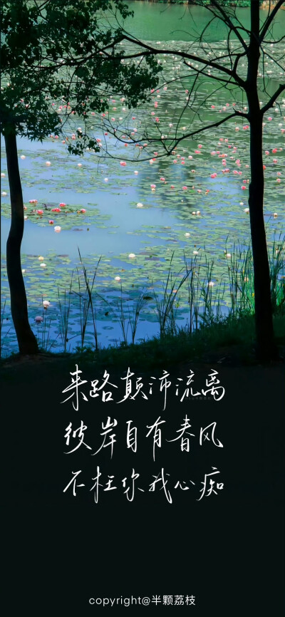 文字壁纸/
cr.半颗荔枝i