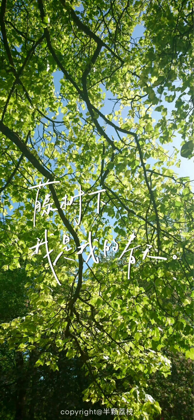 文字壁纸/
cr.半颗荔枝i