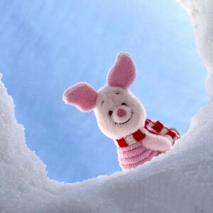怪