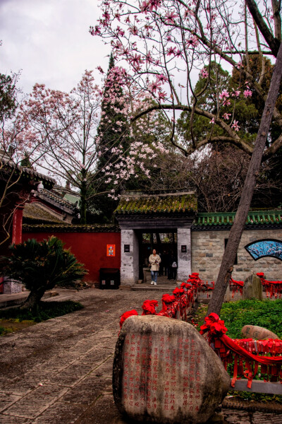 古旱莲世界唯一。汉中市市花古旱莲，坐落在天下第一勉县武侯祠。武侯祠旱莲院内的古旱莲，是世界上唯一的一株旱莲，被誉为“植物界的大熊猫”，其树龄已有400多年。古旱莲每年五月开始长花蕾经，夏、秋、冬，十个月…