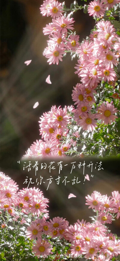 文字壁纸/
cr.半颗荔枝i