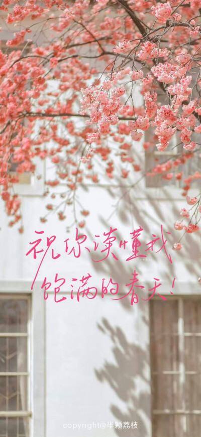 文字壁纸/
cr.半颗荔枝i