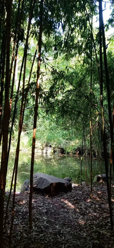 清水连秀山，山水共和时。竹间花草香，水间清如镜。