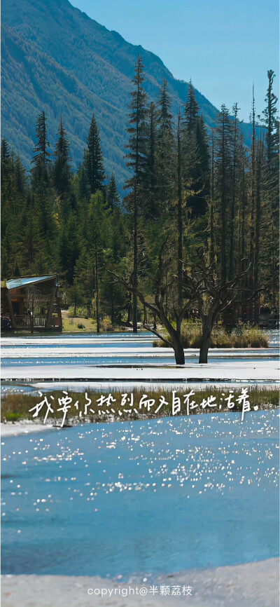 文字壁纸/
cr.半颗荔枝i