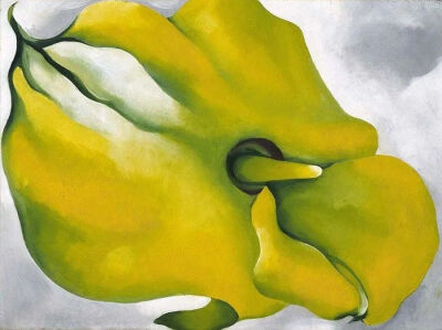 乔治娅·欧姬芙作品《Yellow Calla》