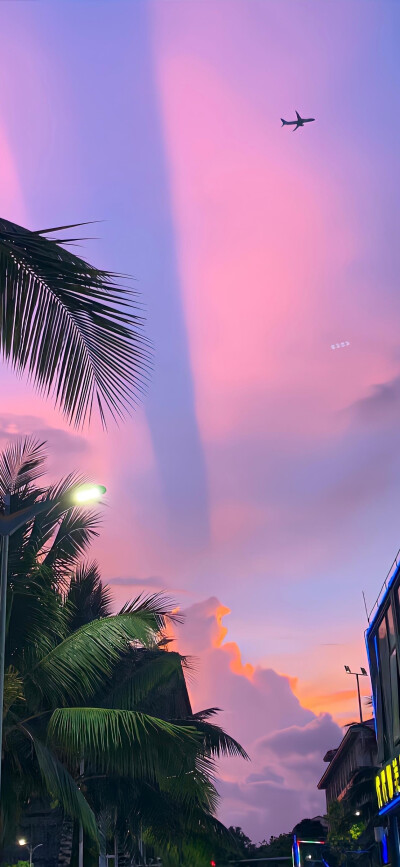 晚霞
