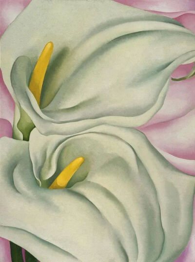 乔治娅·欧姬芙作品《Two Calla Lilies on Pink》 