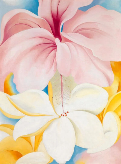 乔治娅·欧姬芙作品《Hibiscus with Plumeria》