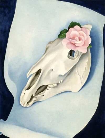 乔治娅·欧姬芙作品《Horse's Skull with Pink Rose》