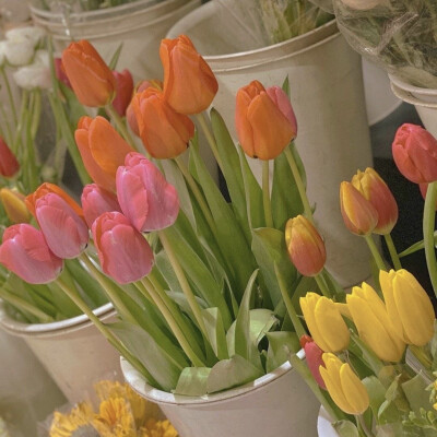 背景｜文案
爱是一种气候，比如大雪肃穆，春山葳蕤。