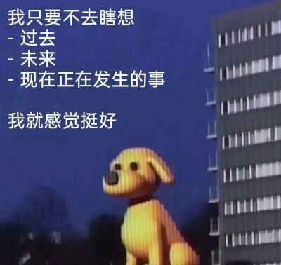 表情包
图片来源于网络 侵删