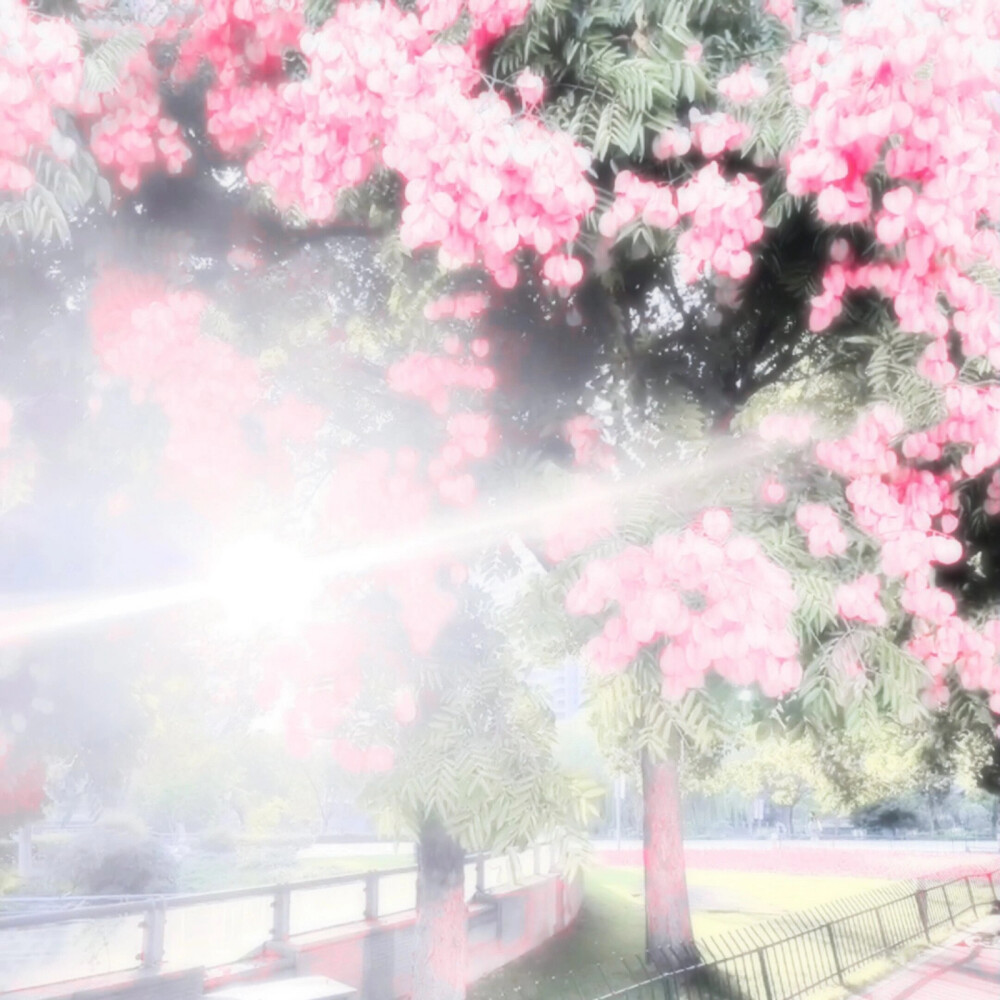 ·재생 키를 누르다|鞠婧祎