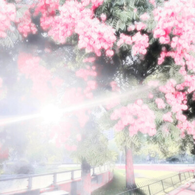 ·재생 키를 누르다|鞠婧祎