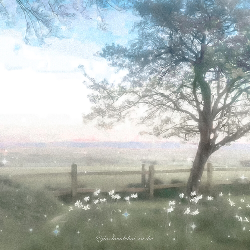 
· モネガーデン｜じゅんはくしょく
