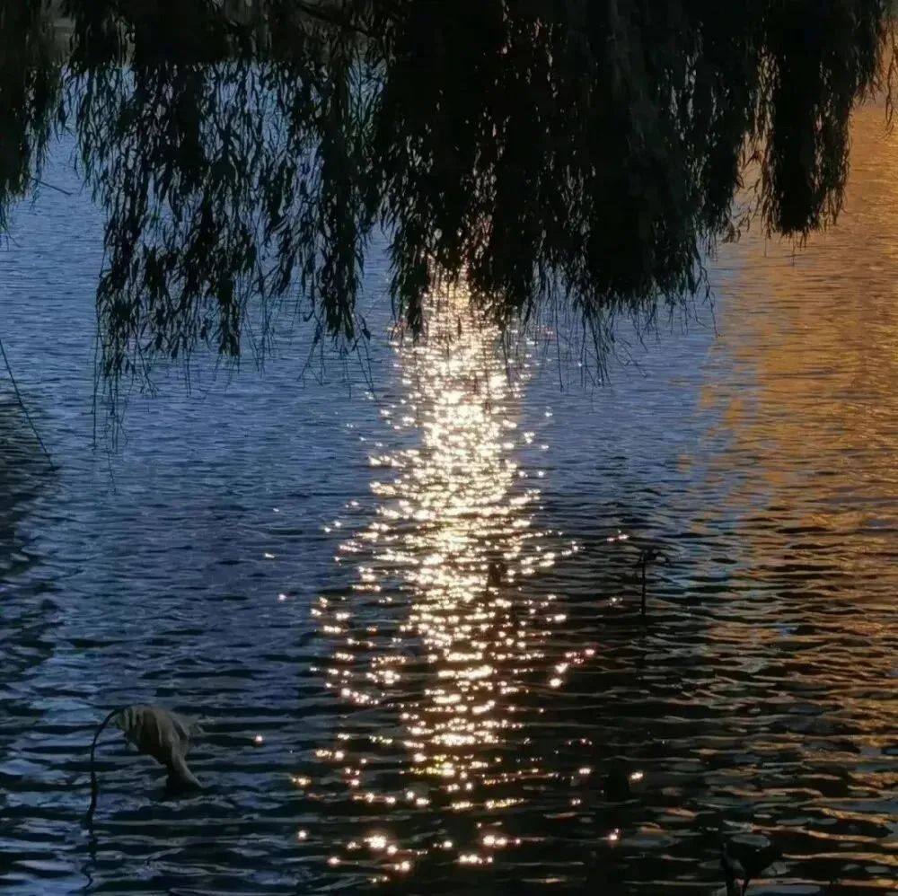 背景图☂
总有人山高路远，为你而来