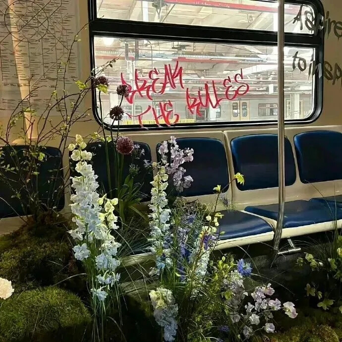 背景图☃
花不是为花店而开，人有各自的月亮